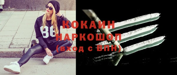 индика Каменск-Шахтинский