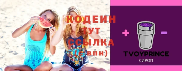 индика Каменск-Шахтинский