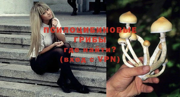 гашиш Каменногорск