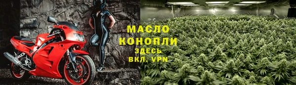 индика Каменск-Шахтинский