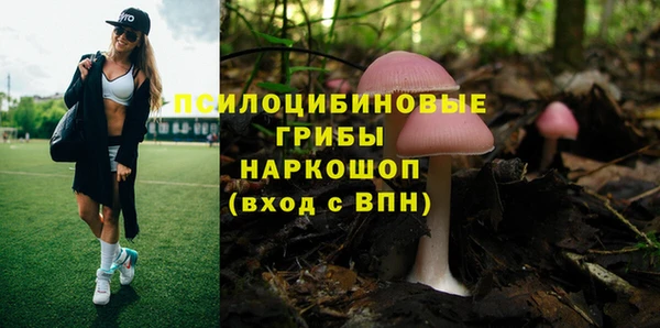 индика Каменск-Шахтинский